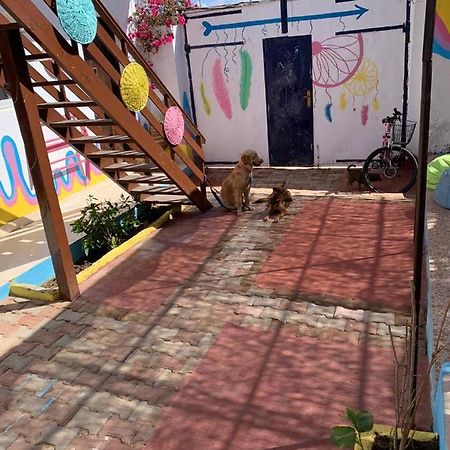 Dahab Tribe Guest House 외부 사진
