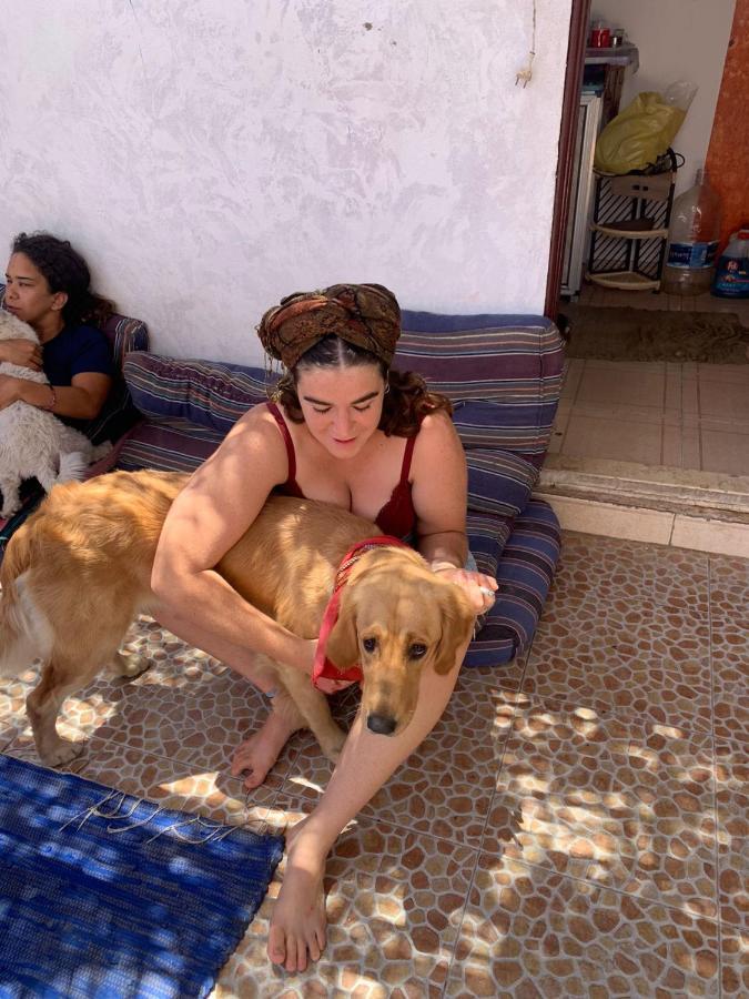 Dahab Tribe Guest House 외부 사진