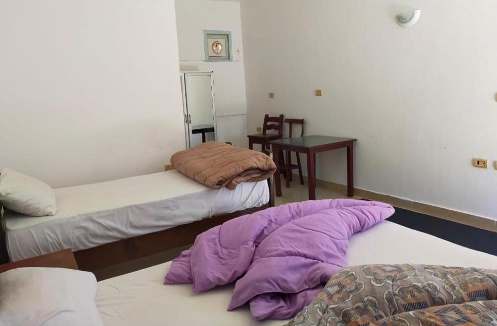Dahab Tribe Guest House 외부 사진
